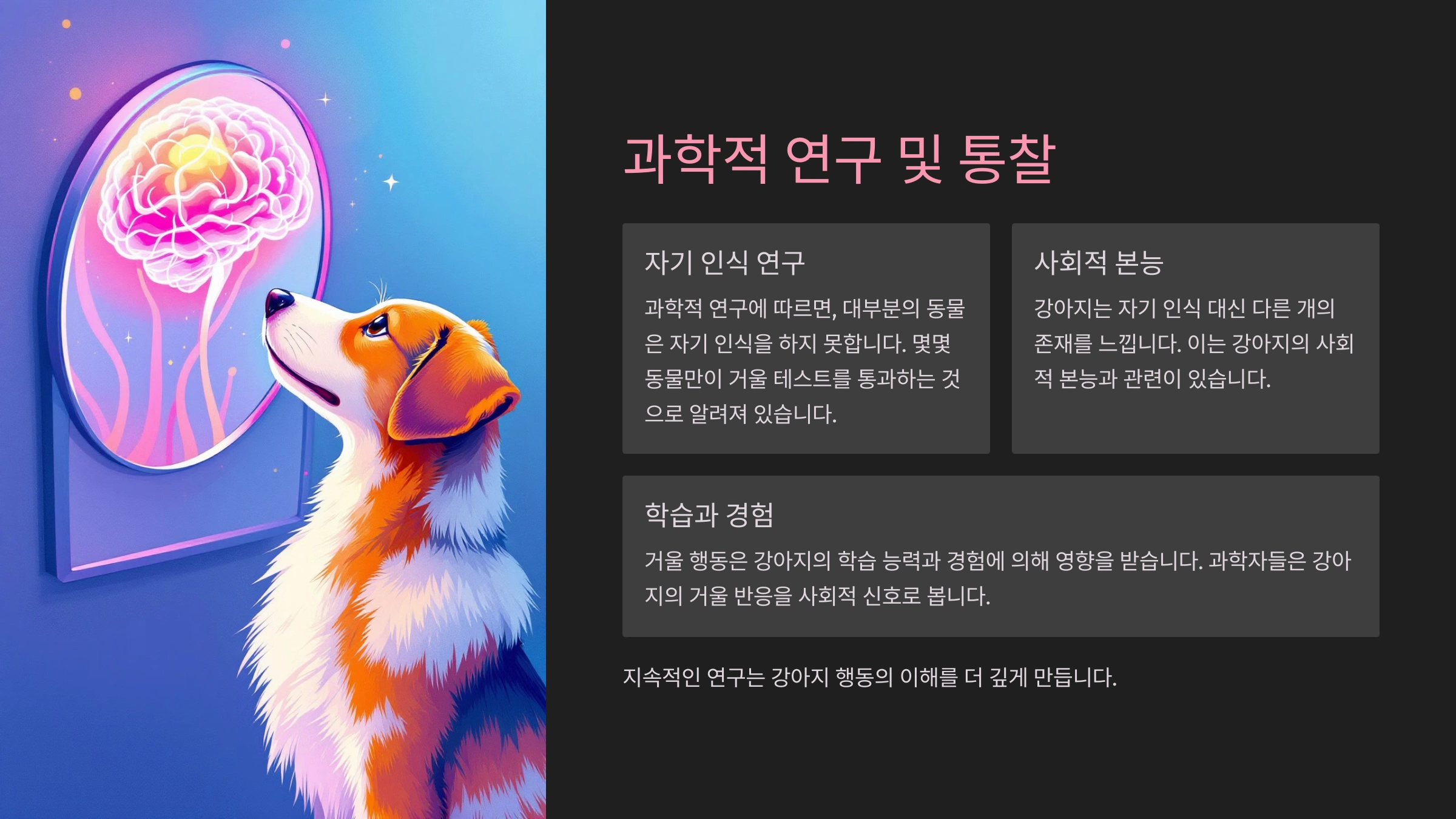 강아지가 거울 속 자신의 모습을 보고 짖는 이유