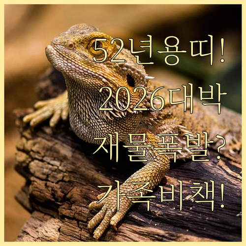 1952년생 용띠 2026년 병오년 ..