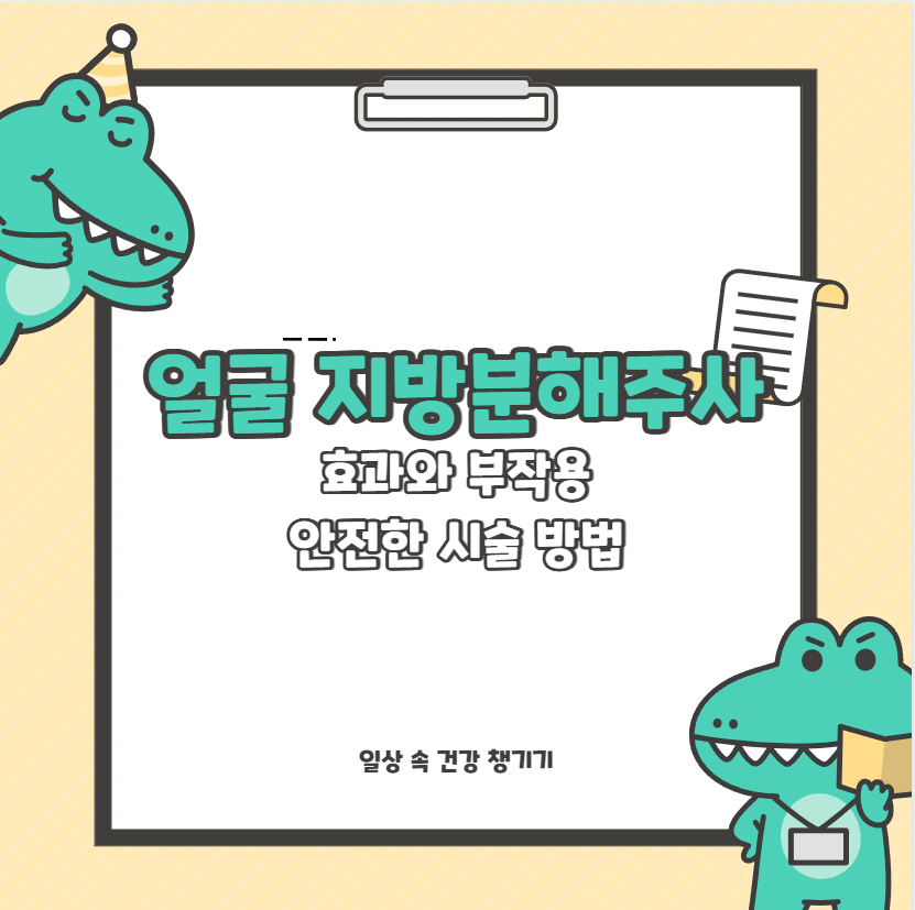 얼굴 지방분해주사 효과와 부작용 안전한 시술 방법