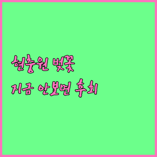 서울 3월 꽃구경 명소 동작구 현충원..