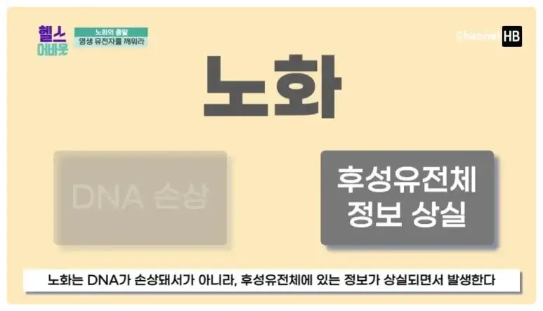 일본nmn효능