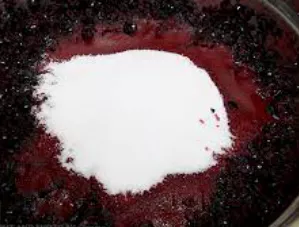 아로니아-효소-만드는법-및-효능