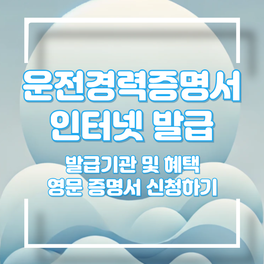 영문 운전경력증명서 인터넷발급
