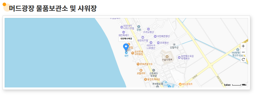 2025 보령머드축제 완벽 가이드