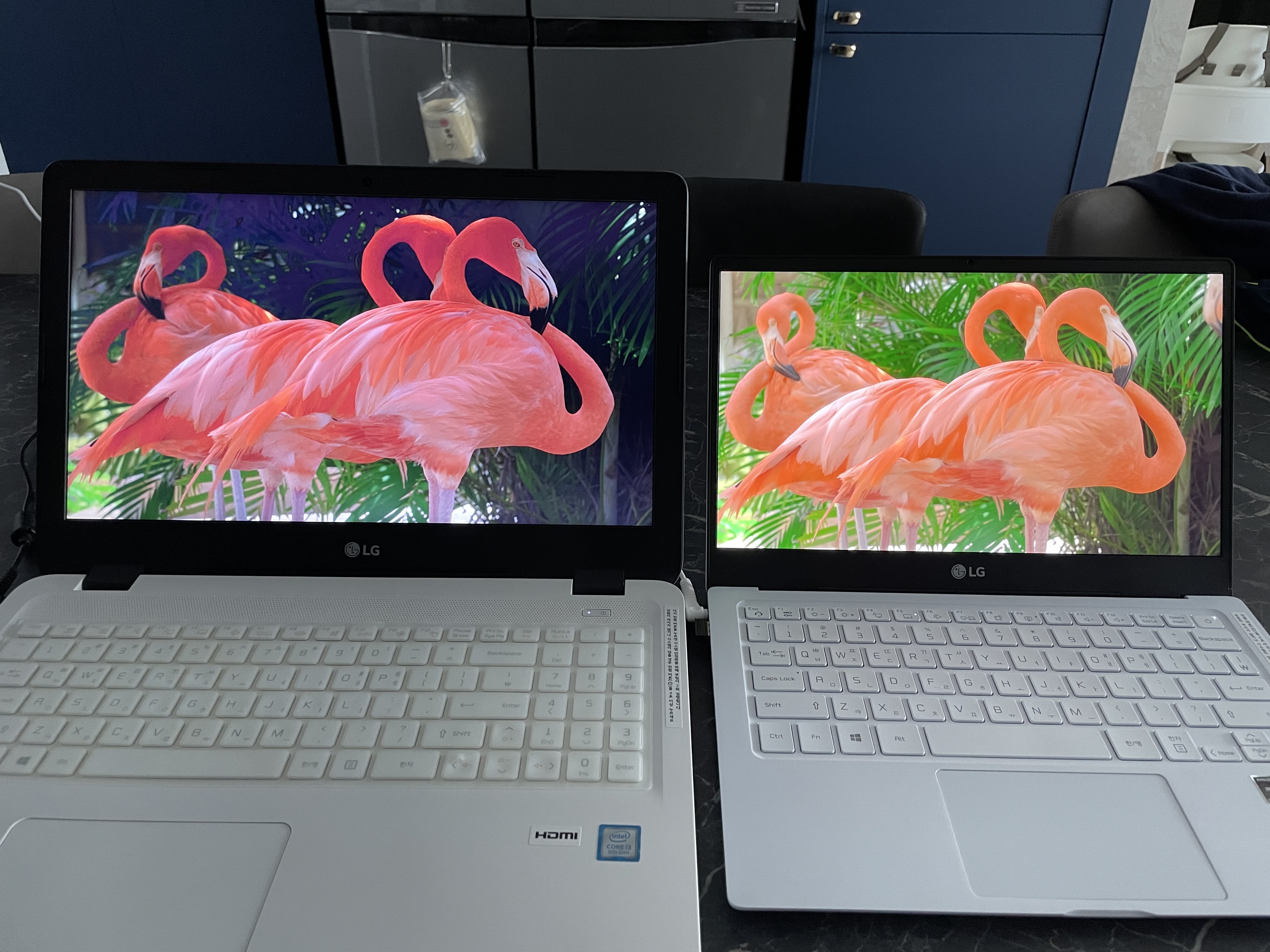 노트북 화질 비교사진