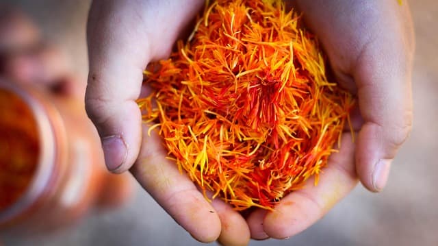 유나니 의학(Unani Medicine): 페르시아-아랍 전통 의학과 자연 치유법