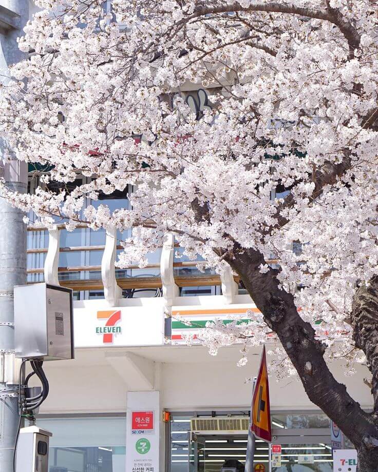 경주 가볼만한곳 베스트 10