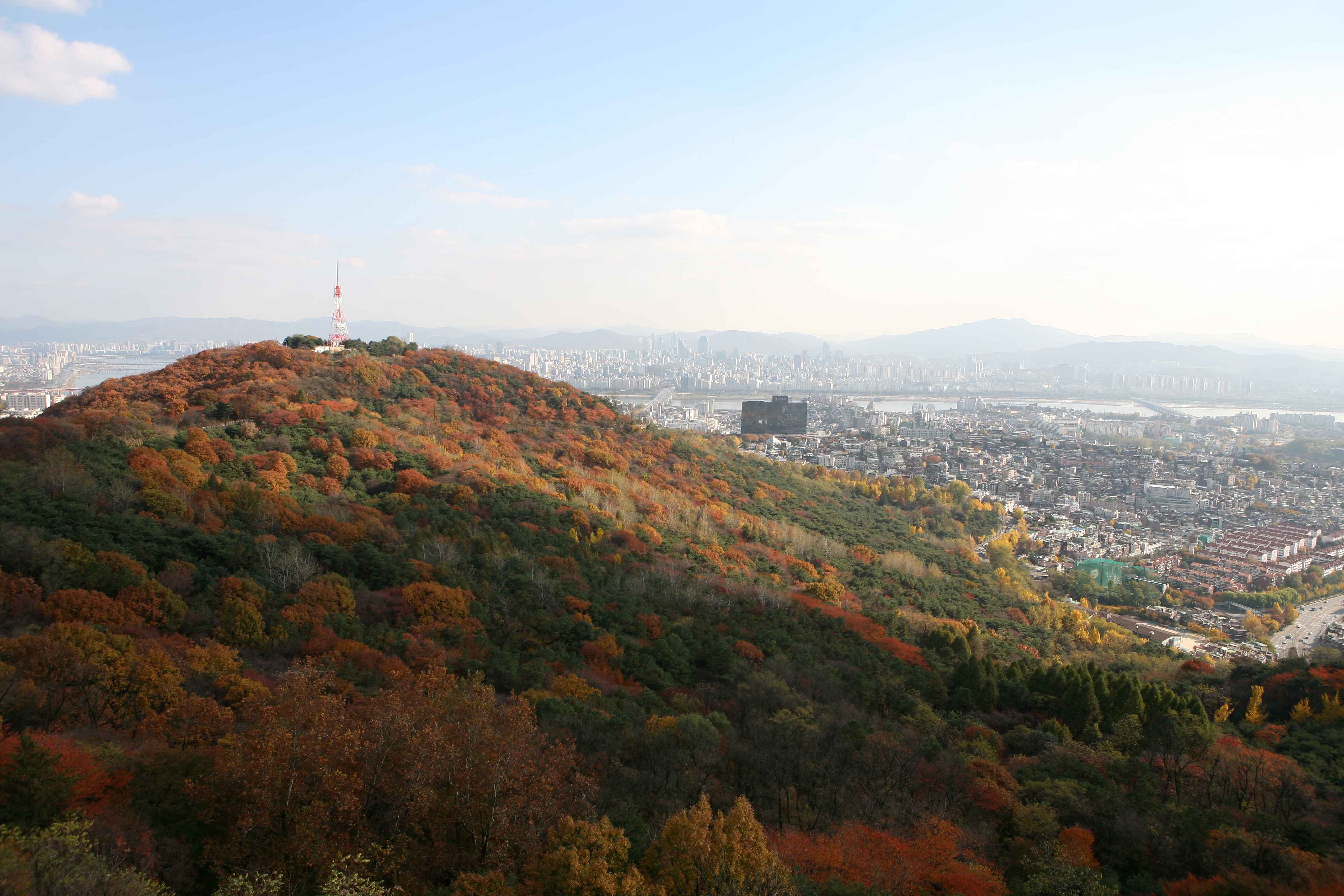 남산공원