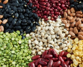 건강한 식습관을 위한 곡물 모음 사진