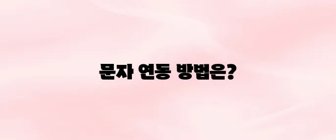 편한 가계부 문자연동｜사용법