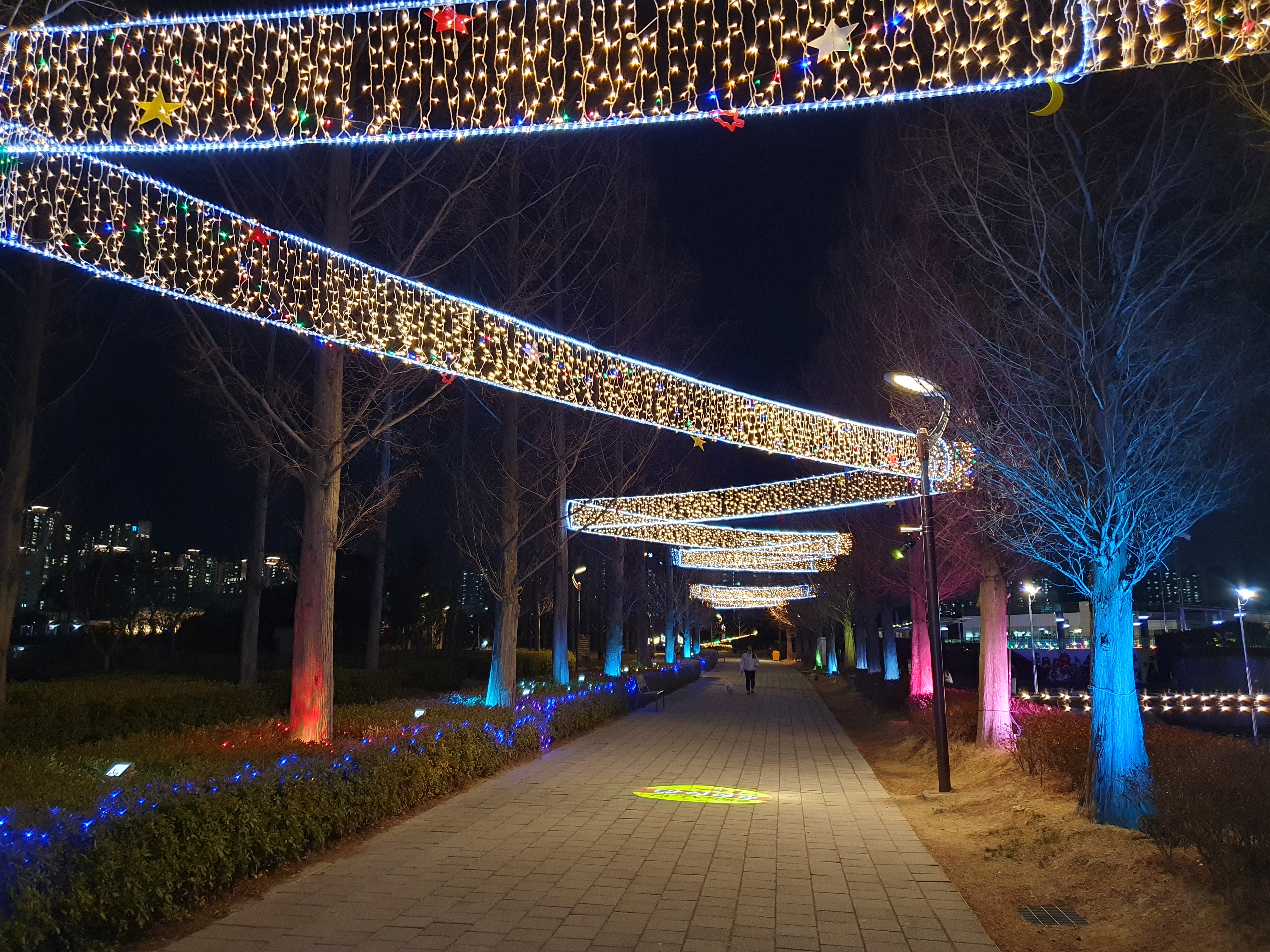 제3회 부산 희망드림 빛 축제