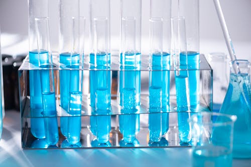 lab