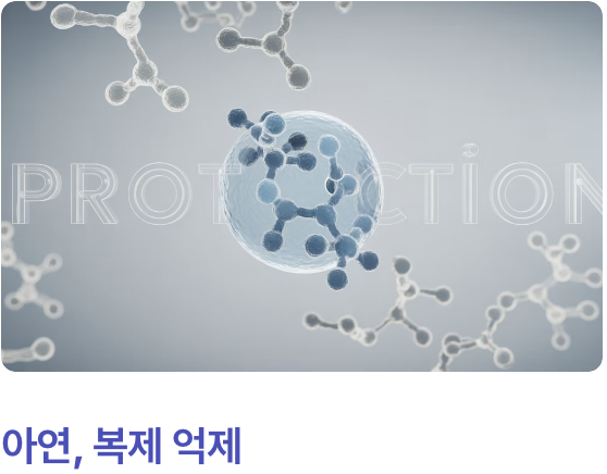 이미 들어온 바이러스의 증식을 억제하다