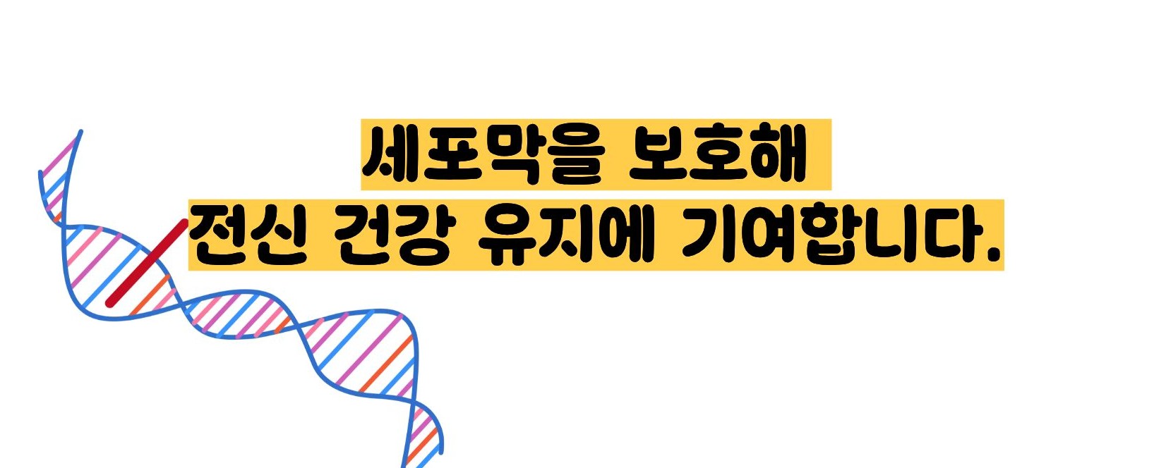 비타민e의 효능