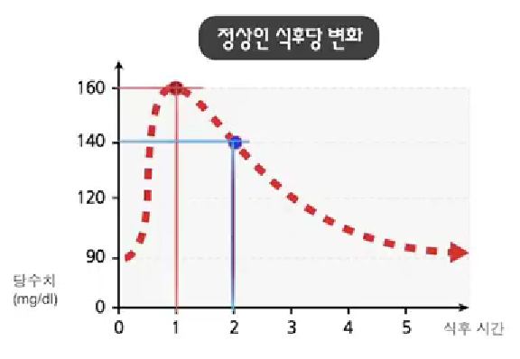 정상인 식후 당 변화