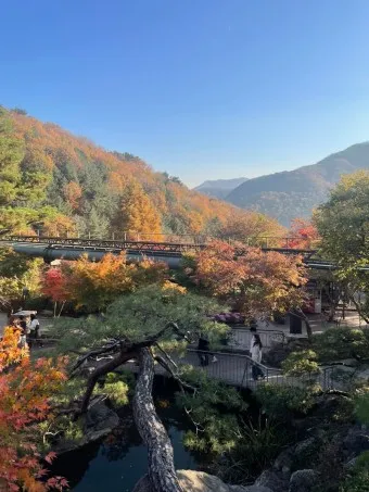 화담숲 예약하기 예약 방법 입장료 모노레일_4