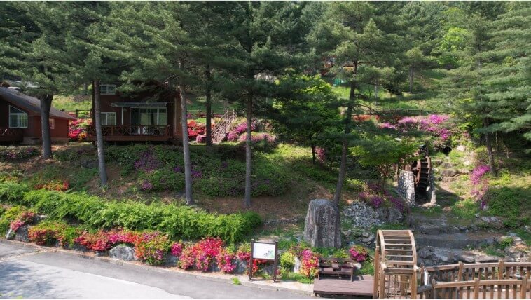 칼봉산자연휴양림 봄사진
