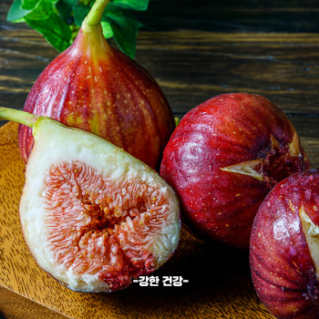 무화과 재배방법