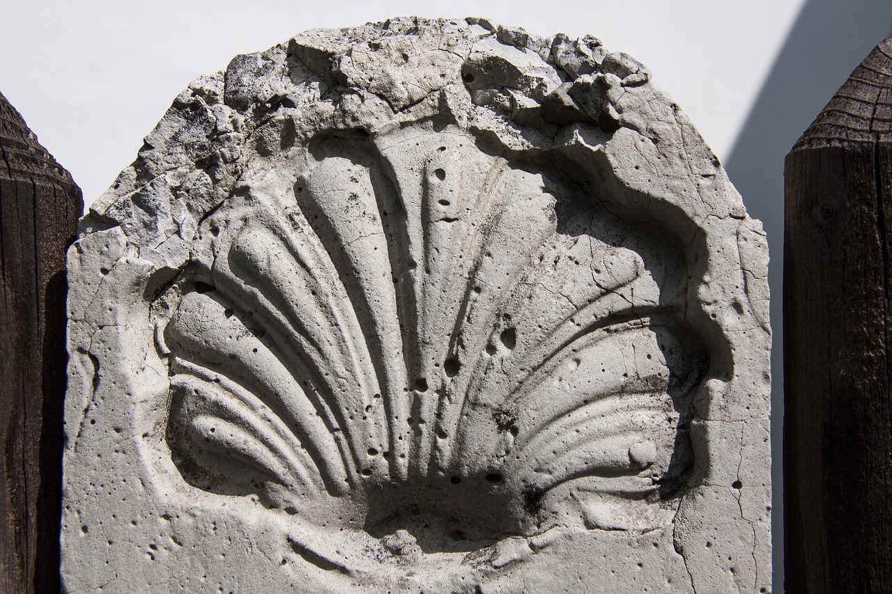 산티아고 순례길 관련 사진