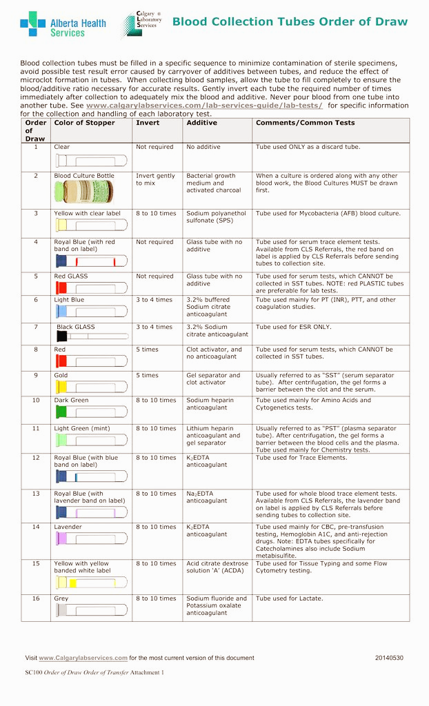 혈액튜브 종류와 순서