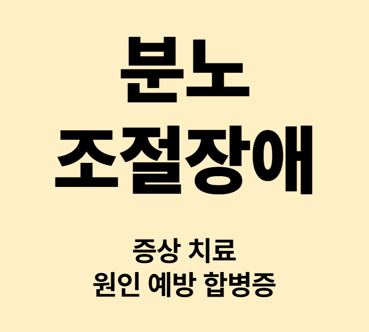 사소한 자극에도 폭발적인 화를 내는 증상 분노조절장애 치료