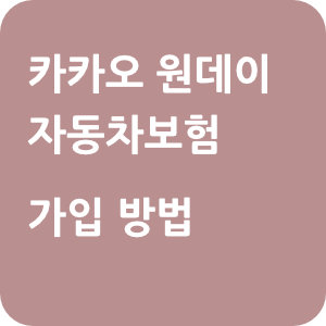 카카오-원데이-자동차보험