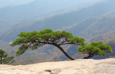 북한산 국립공원 실시간 cctv
