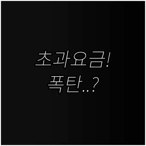 에어차이나 위탁수하물 23킬로그램 초..