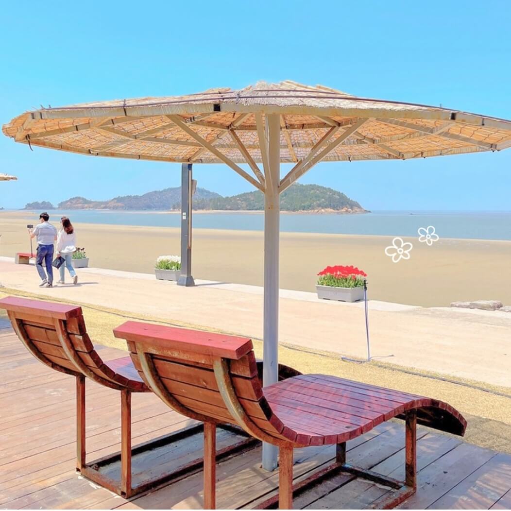 임자도 튤립축제기간