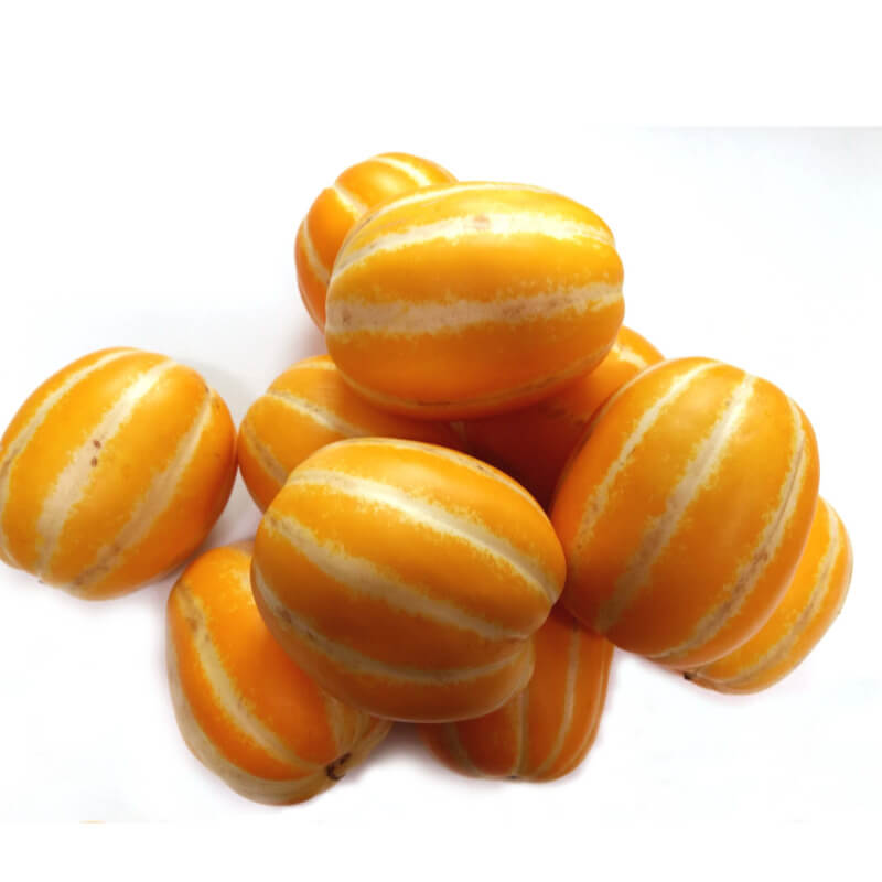 대장내시경 검사전 주의할 음식