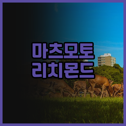 마츠모토 여행 필수 Richmond