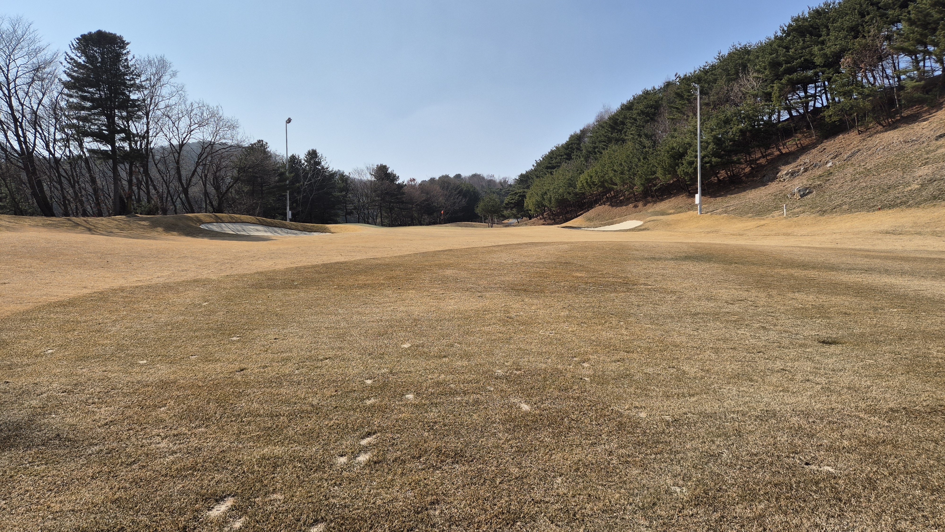 아난티코드gc 잣나무-느티나무 코스 사진 및 공략 정보