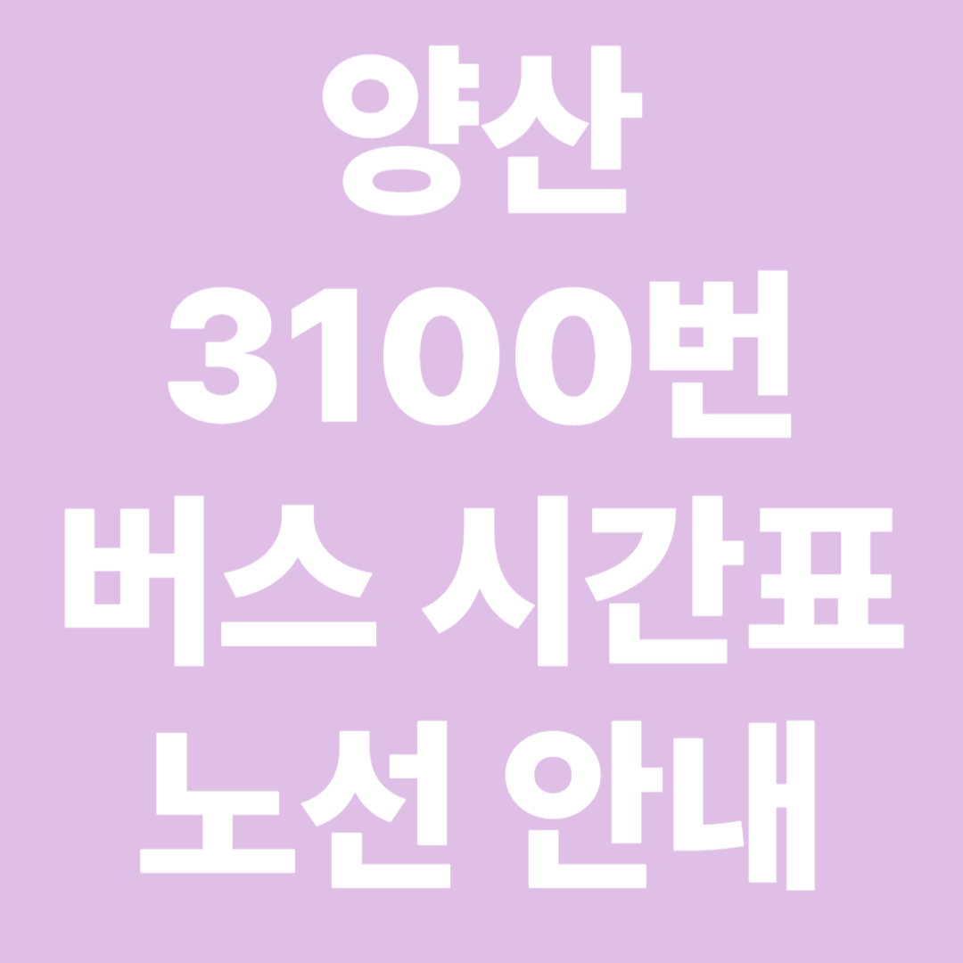 양산 3100번 버스 시간표 노선 요금 안내