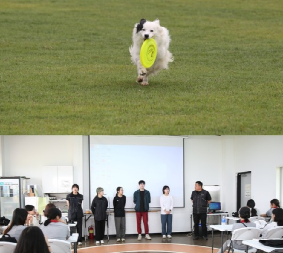 반려동물학과 관련 고등학교 사진