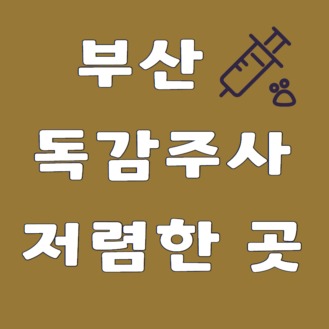 부산 독감예방접종