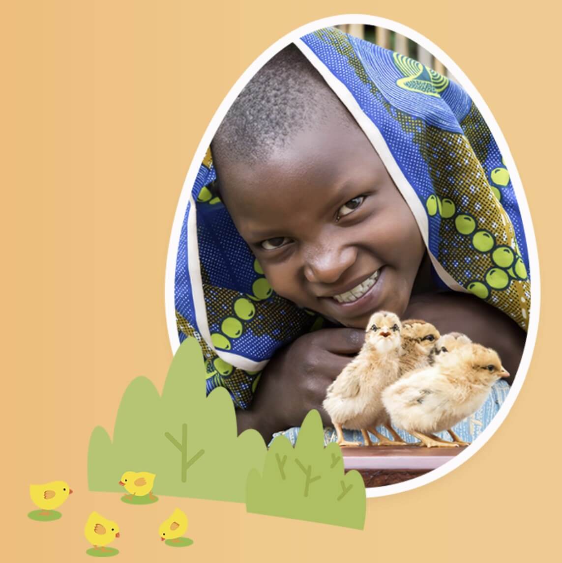 브룬디 토마스 병아리