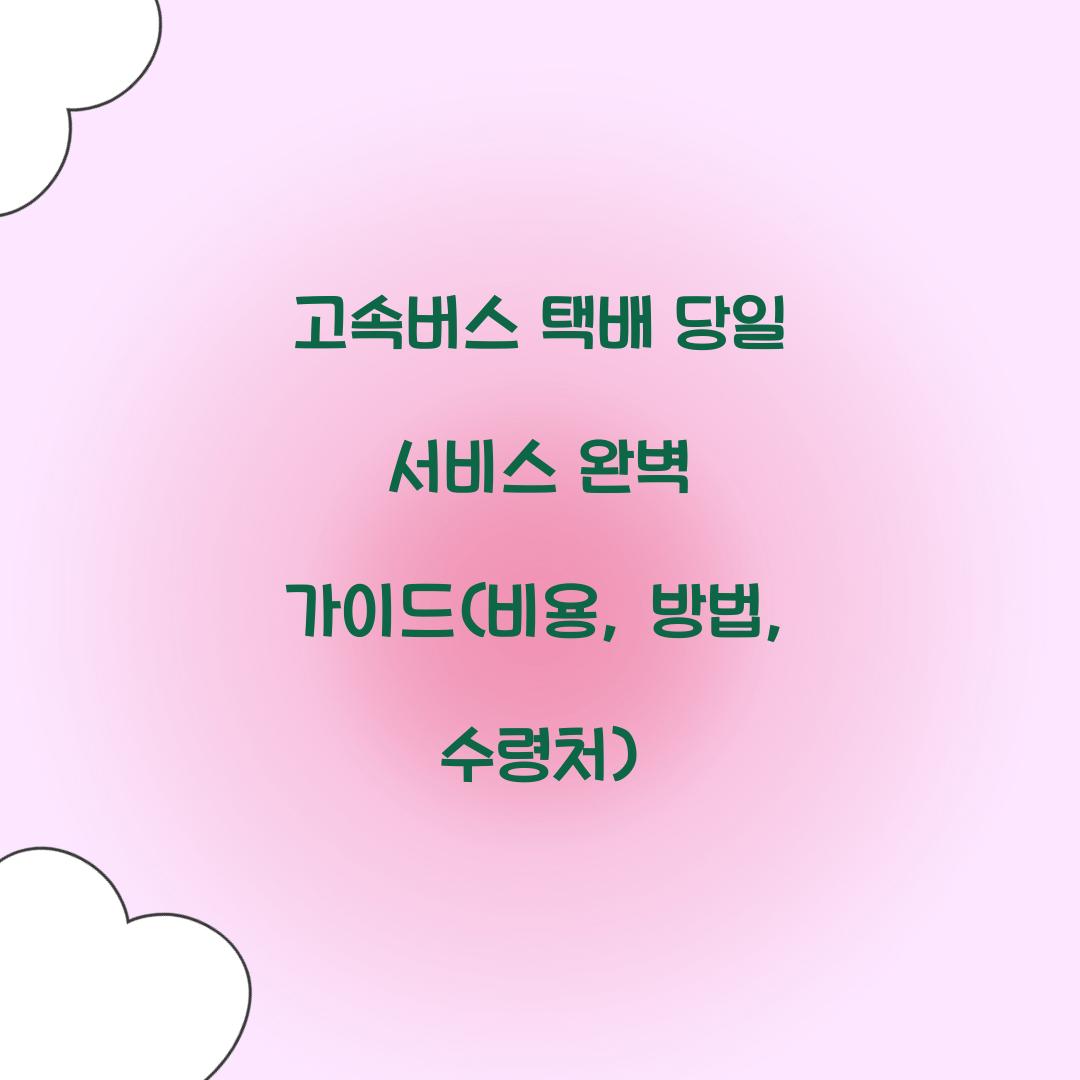 고속버스 택배 당일 서비스