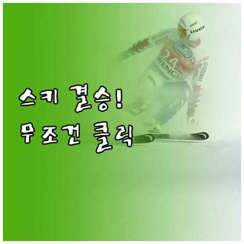 2026 동계올림픽 프리스타일 스키 ..