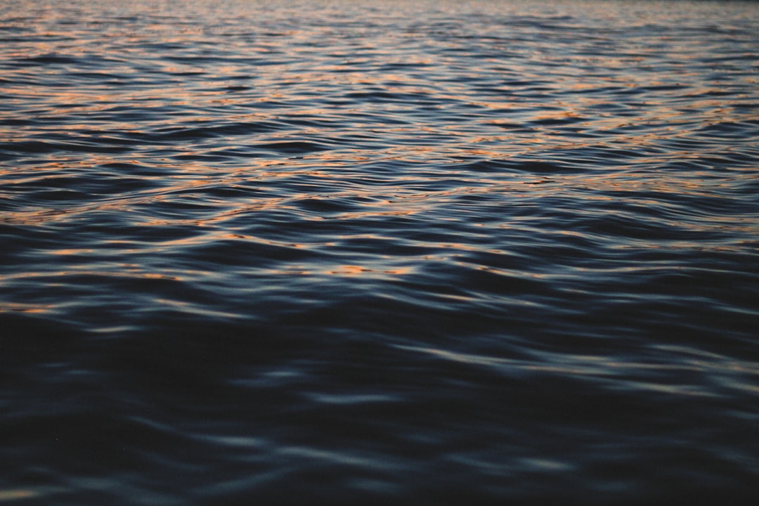 Ripple
