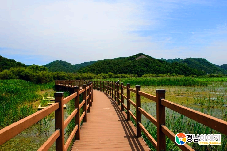 수상 위 데크길