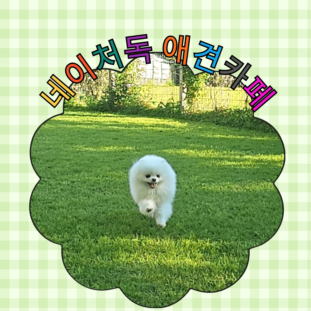 네이처독-애견카페