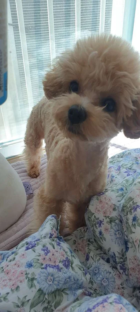 희망동물병원