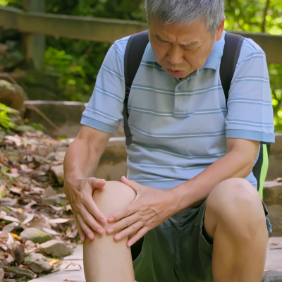 관절 연골 건강과 콘드로이친