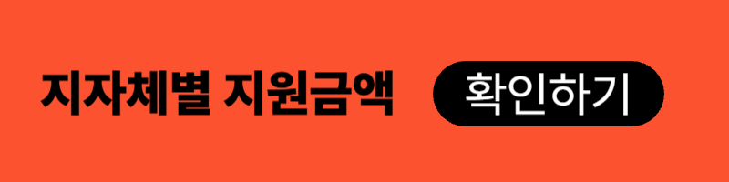 2025년-서울시-지자체별-출산지원금-2