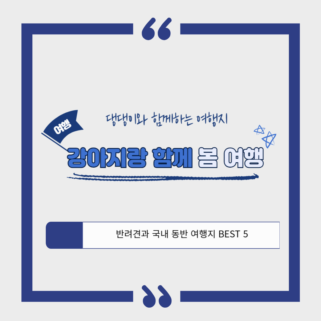 강아지랑 함께 어디 갈까? 반려견과 떠나는 국내 동반 여행지 베스트 5