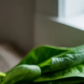 이명에좋은음식 이미지