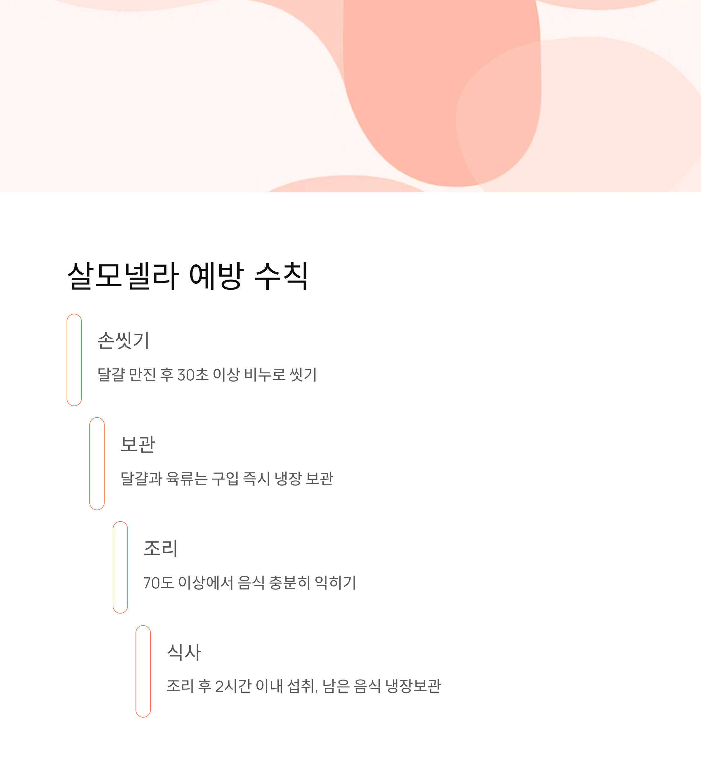 살모넬라 예방 수칙