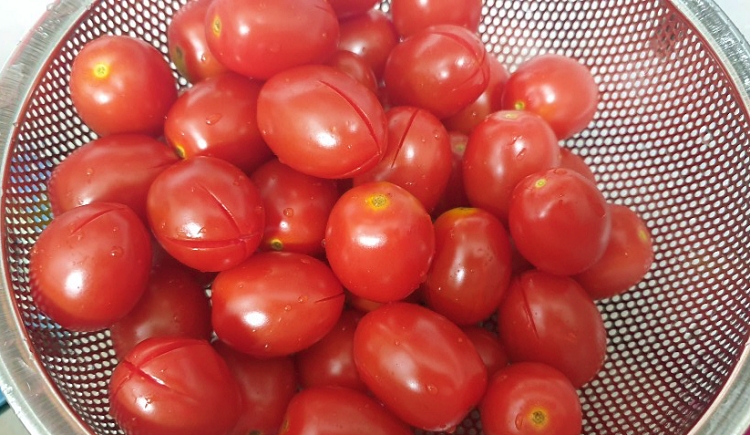 방울토마토 손질