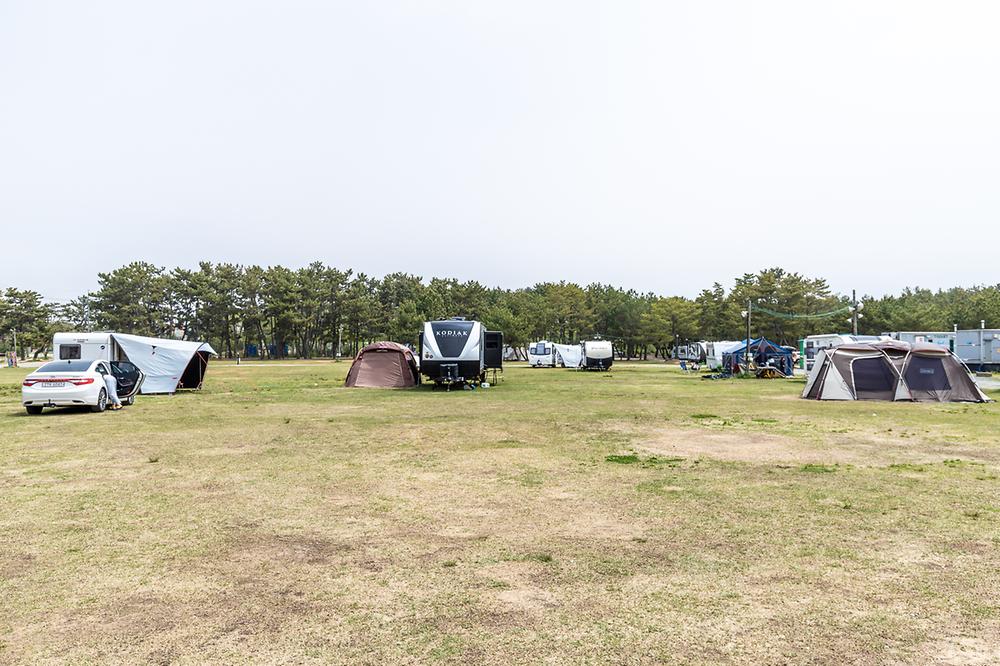 태안군 몽산포오션캠핑장 소개