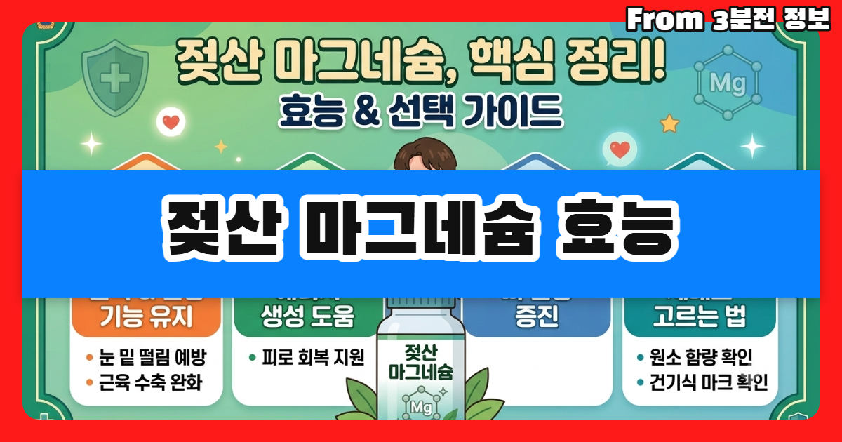 젖산 마그네슘 효능